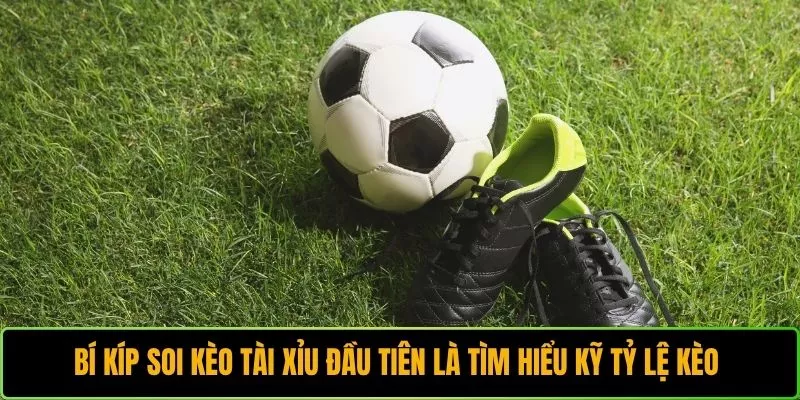 Bí kíp soi kèo Tài Xỉu đầu tiên là tìm hiểu kỹ tỷ lệ kèo 