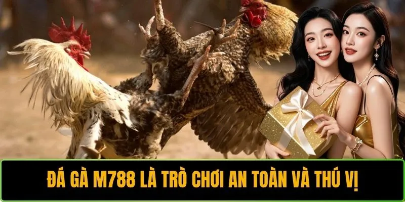 Đá gà M788 là trò chơi an toàn và thú vị