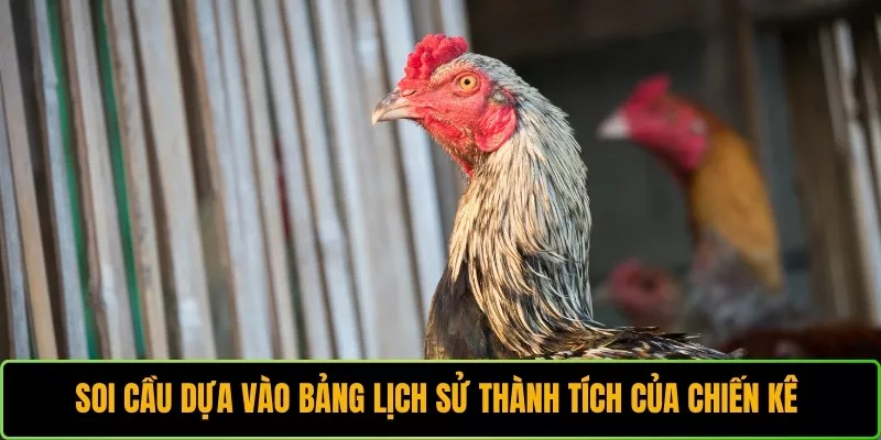 Soi cầu dựa vào bảng lịch sử thành tích của chiến kê 