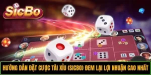 Cách Đặt Cược Tài Xỉu