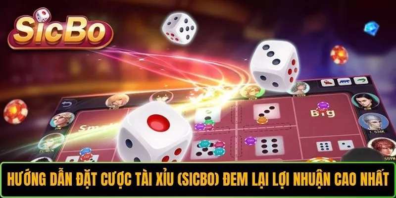 Cách Đặt Cược Tài Xỉu