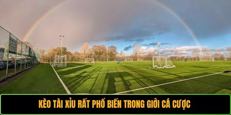 Kèo Tài Xỉu rất phổ biến trong giới cá cược 